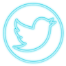 Logo Twitter in neon